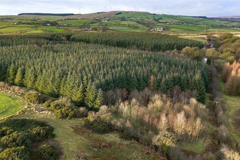 undefined, Mosside Woods, Dalry, North Ayrshire, KA24