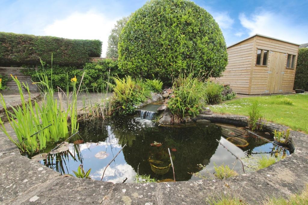 Pond
