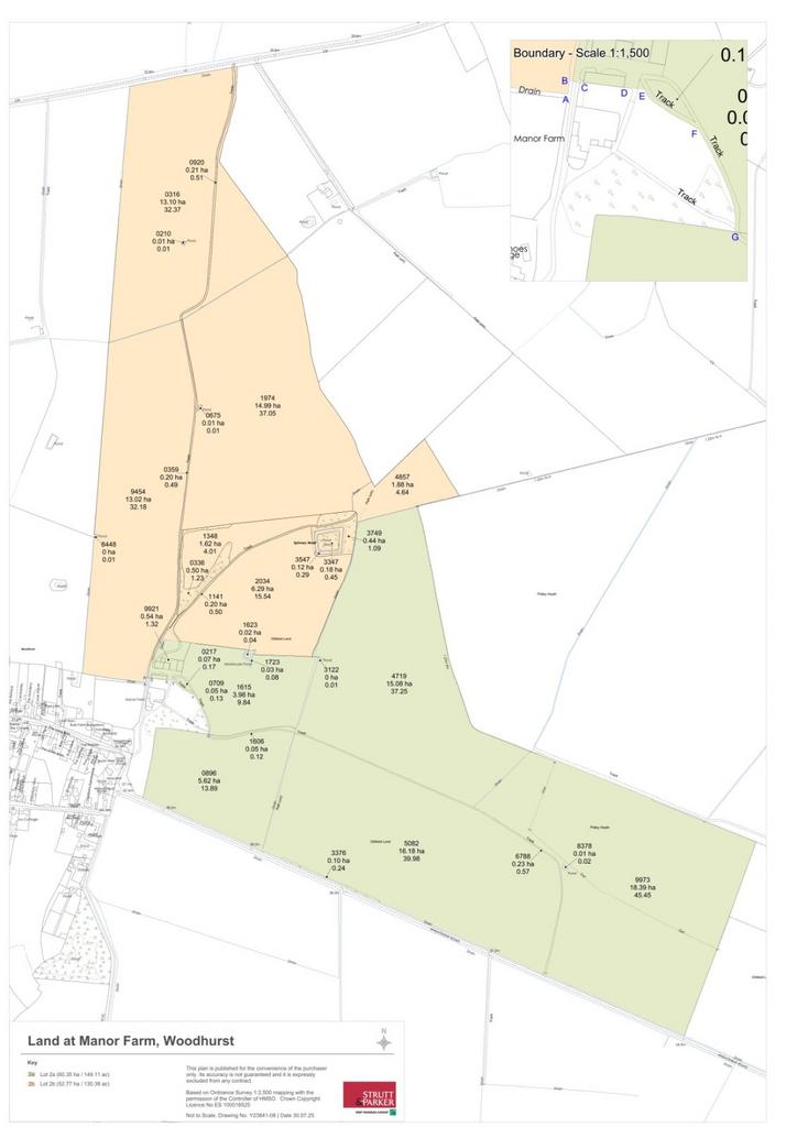 Lotting Plan
