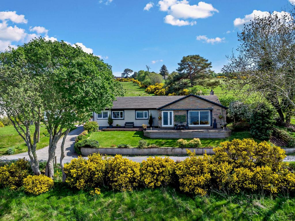 Wyvis View