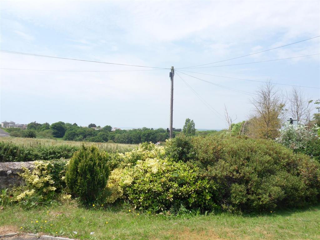 Sdc13777.jpg