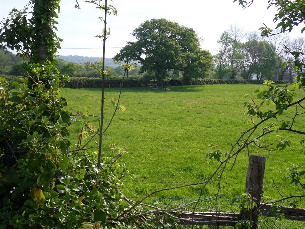 Sdc10715.jpg