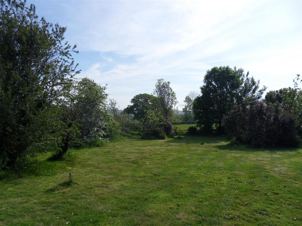 Sdc10711.jpg