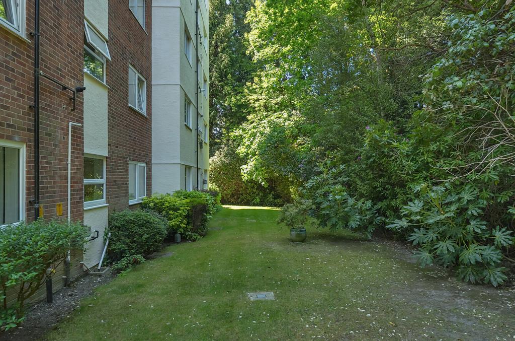 External