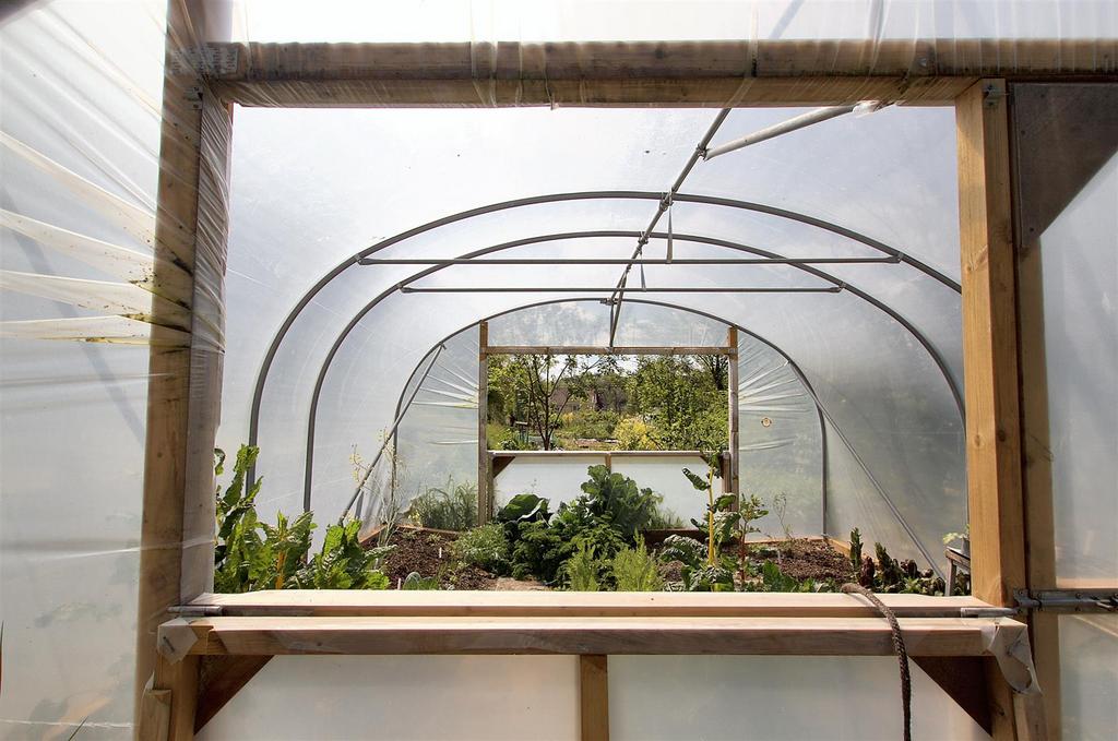 Polytunnel