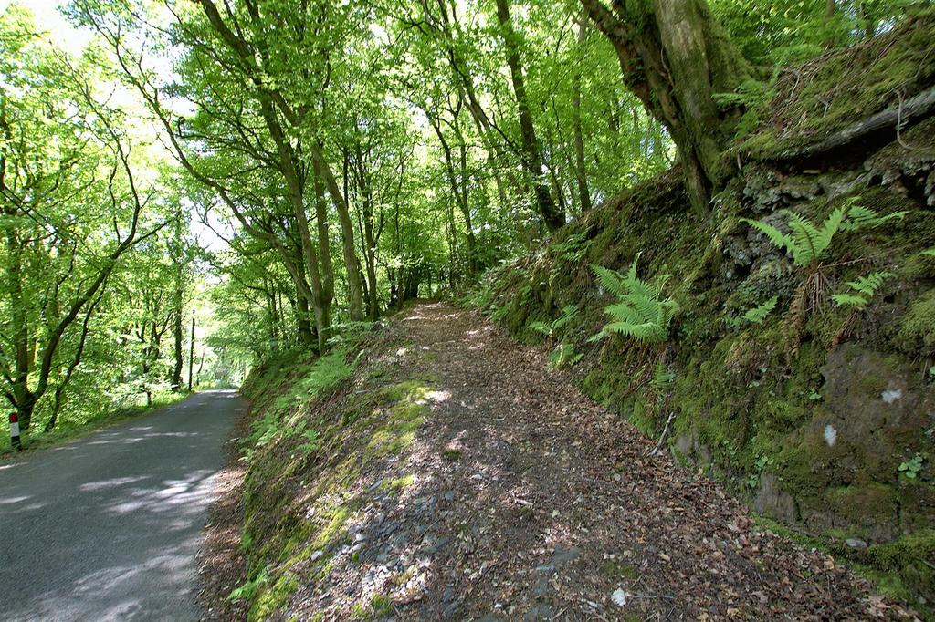 Woodland track