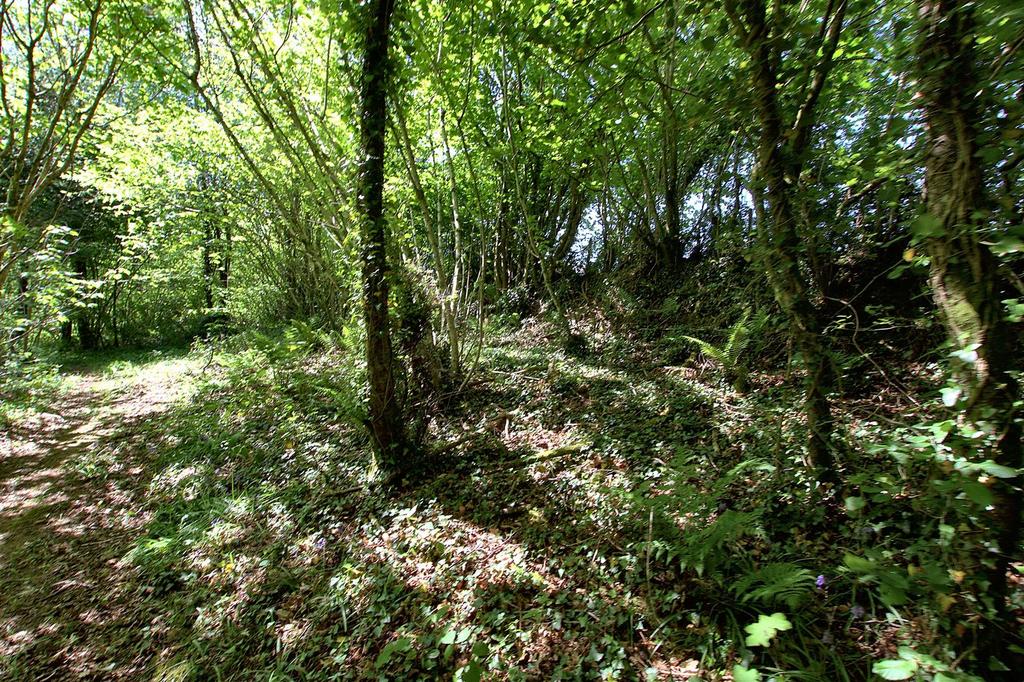 Woodland