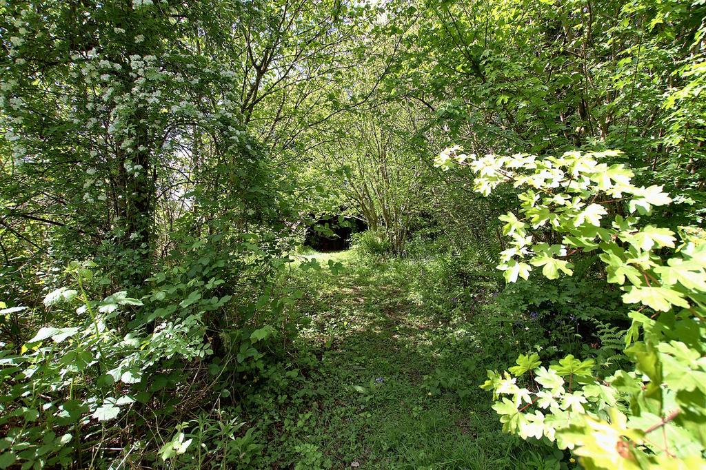 Woodland