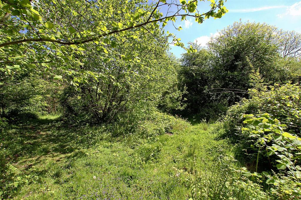 Woodland