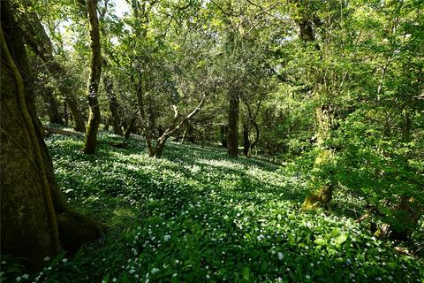 undefined, St. Keyne, Cornwall PL14