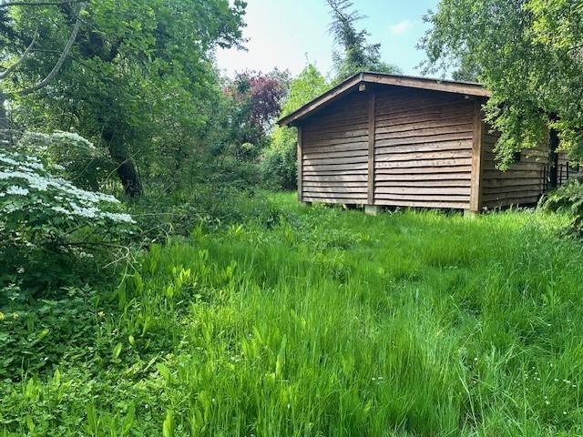 Existing Cabin.jpg