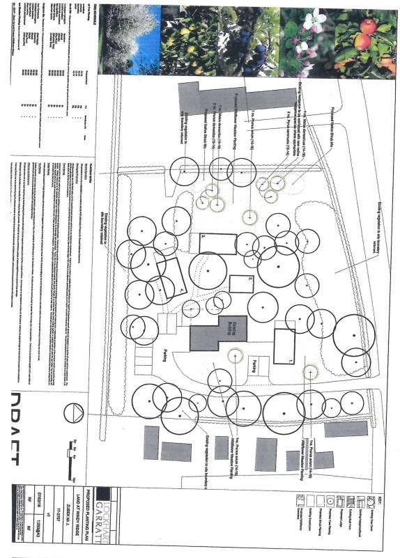 Tree &amp; Ecology Plan.jpg