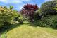 Garden 4.jpg