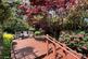Garden 5.jpg