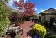 Garden 2.jpg