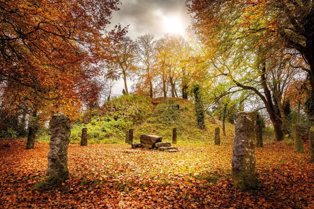Mold Castle