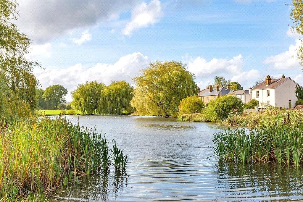 Pond