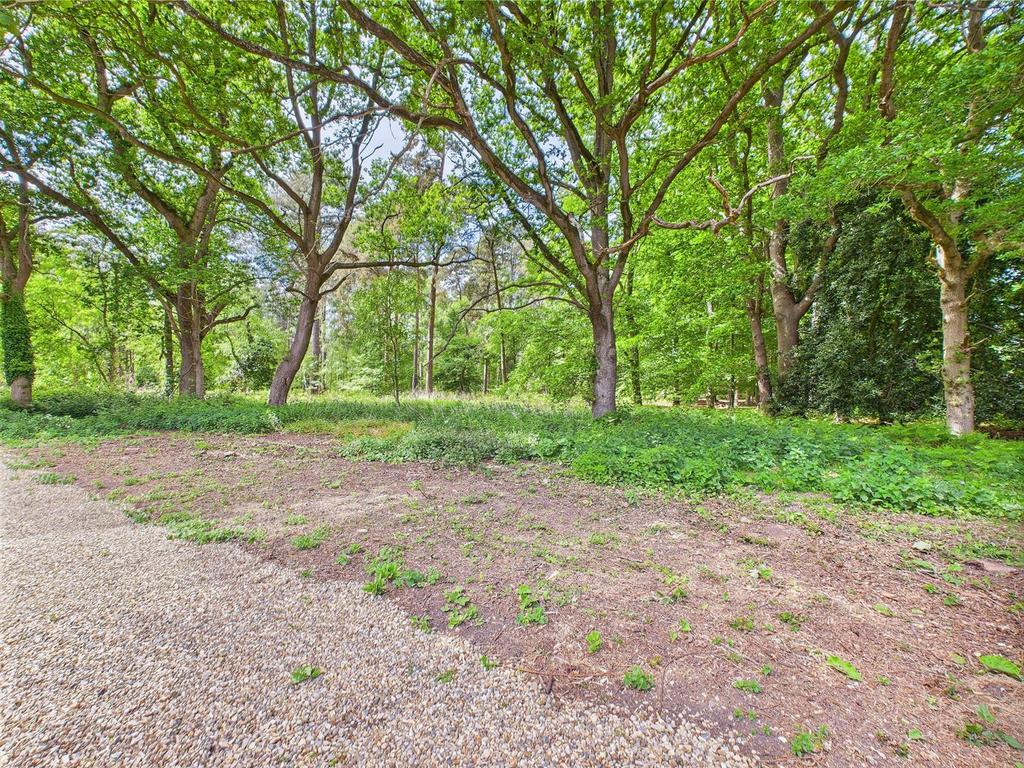 Woodland