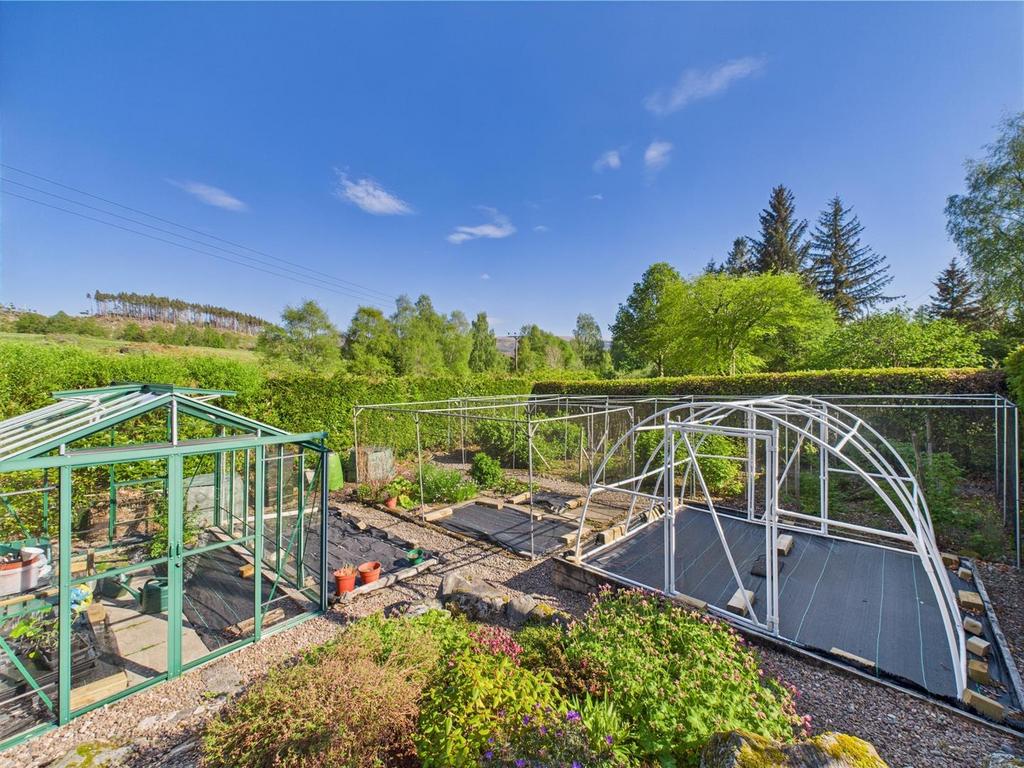 Vegetable garden