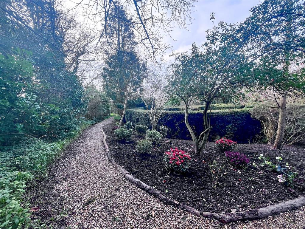 Garden 7.jpg