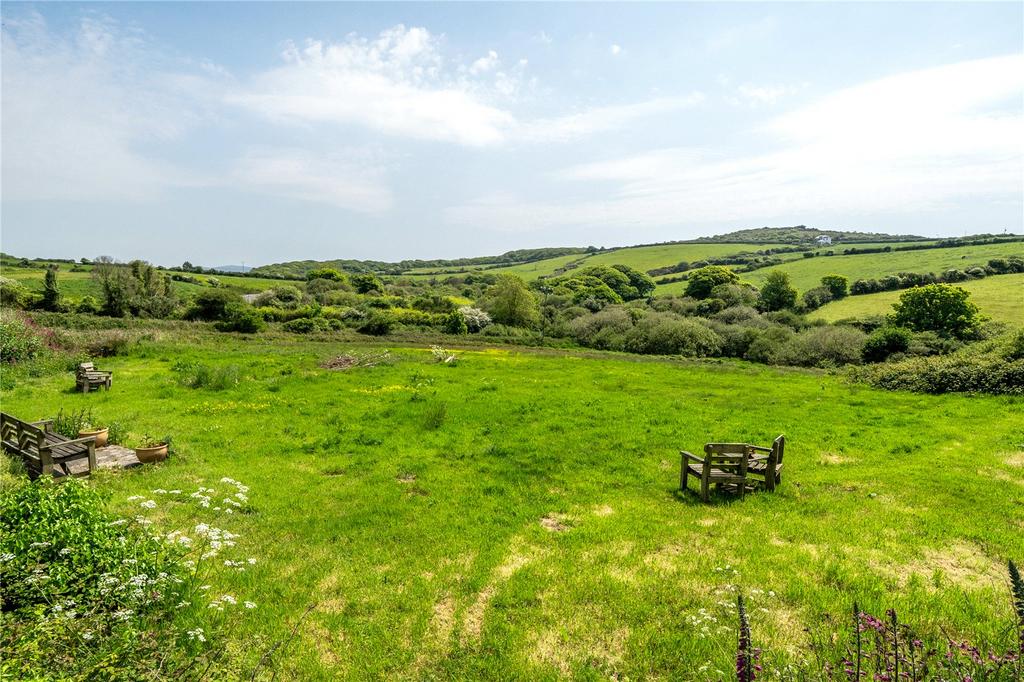 The Land / Paddock