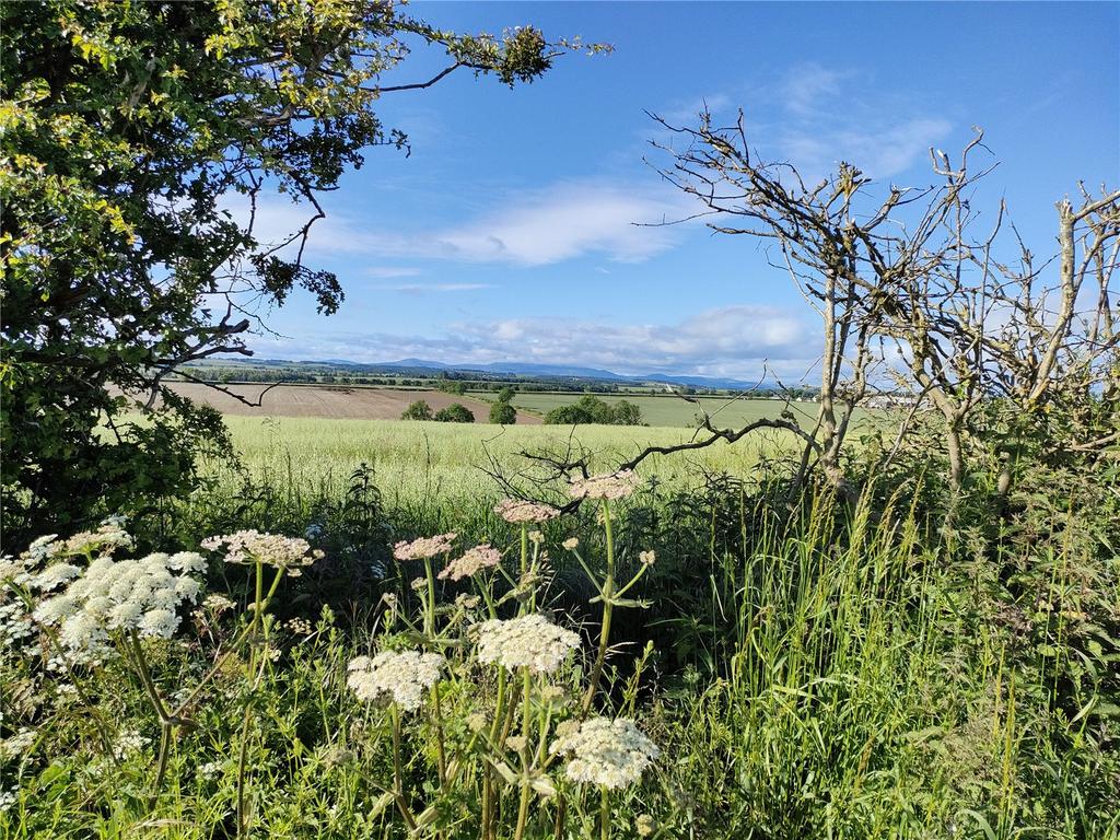 East Allerdean