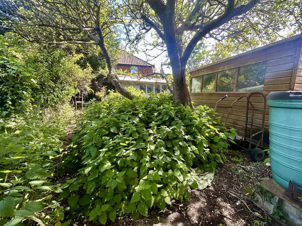 16 T202505161255.jpg