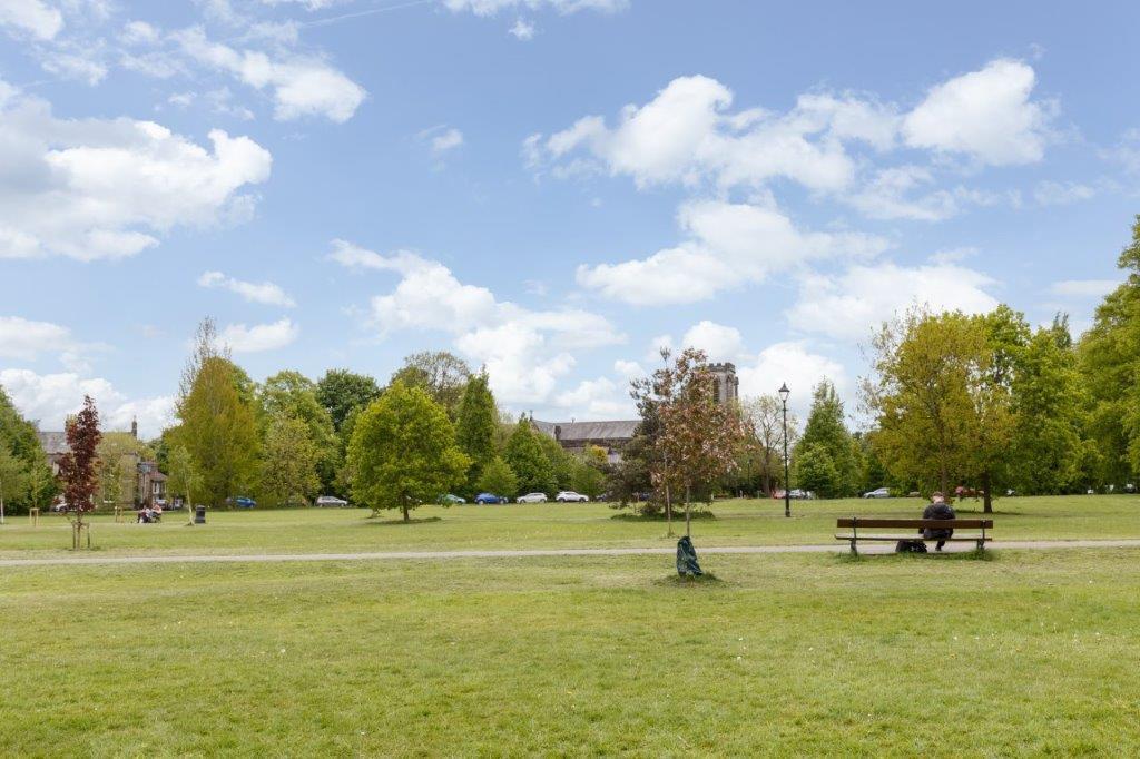 Picture 25.jpg