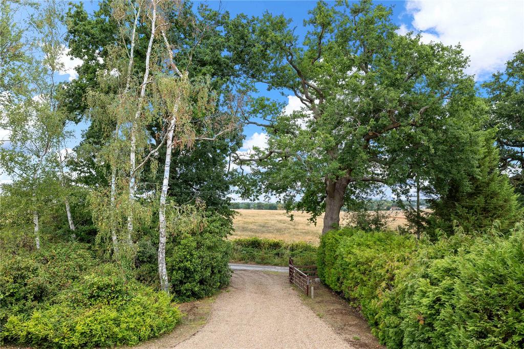 Driveway