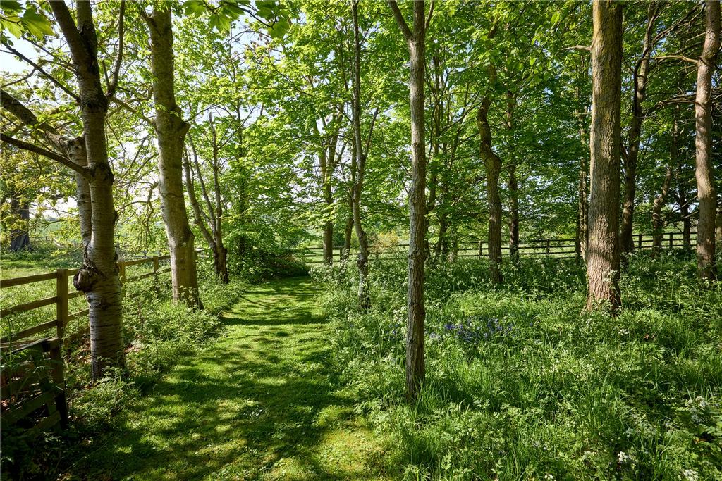 Wooded Area