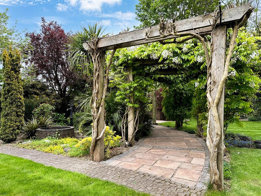 Pergola &amp; Wisteria In Garden 350