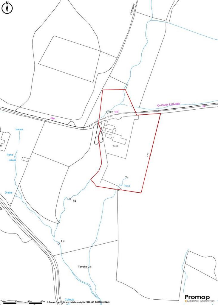 Tivoli Outline plan.jpg