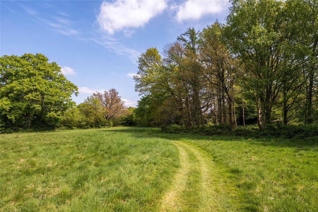 Field