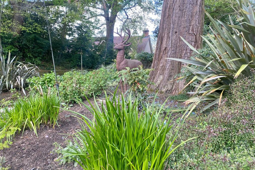 Grounds