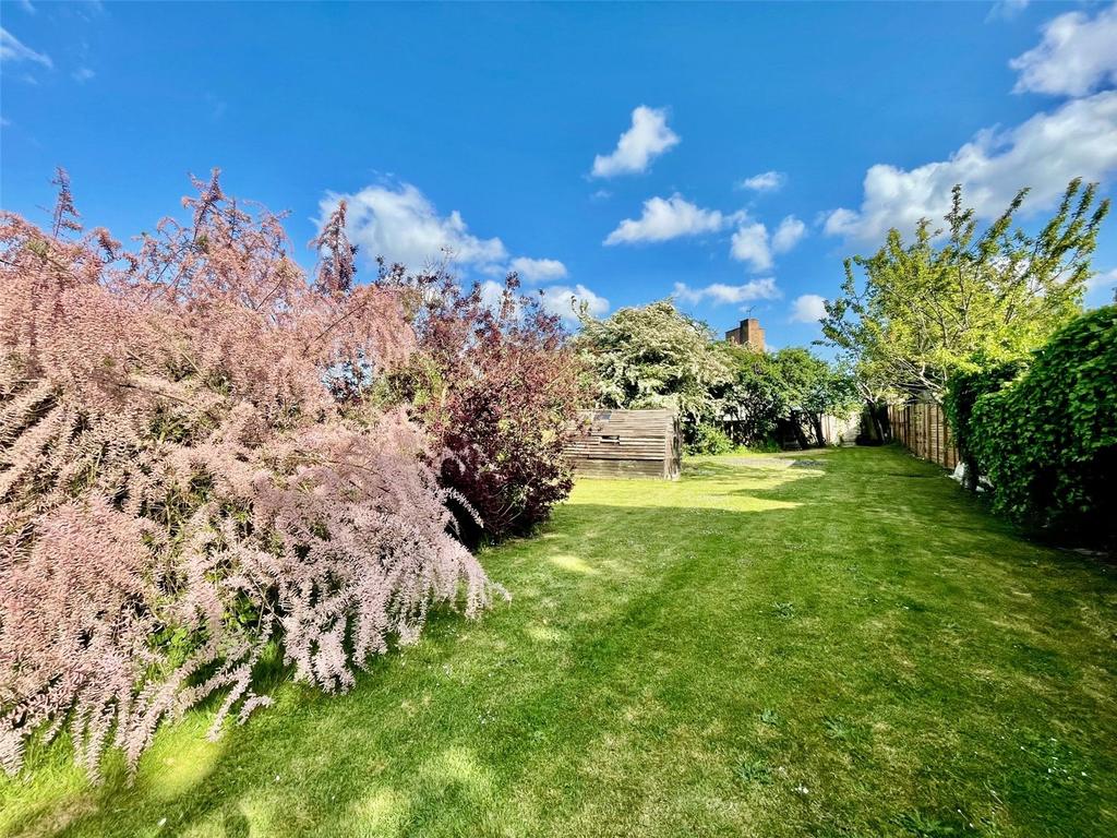 Picture No. 19
