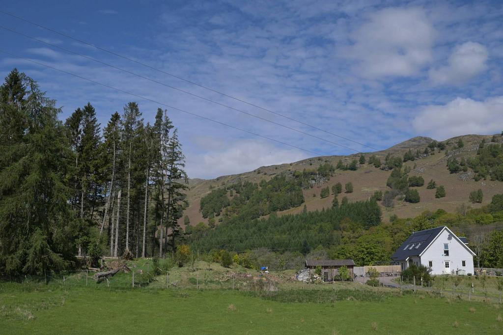 MFL1244692 226.jpg