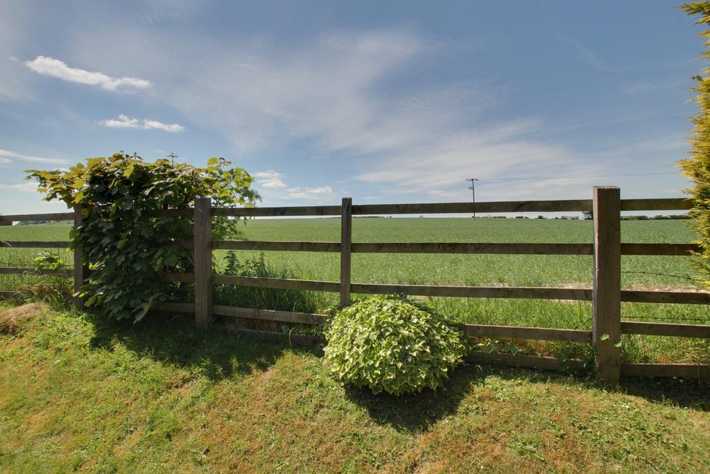 Field view