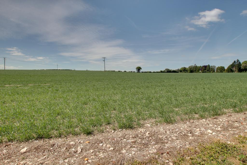 Field view