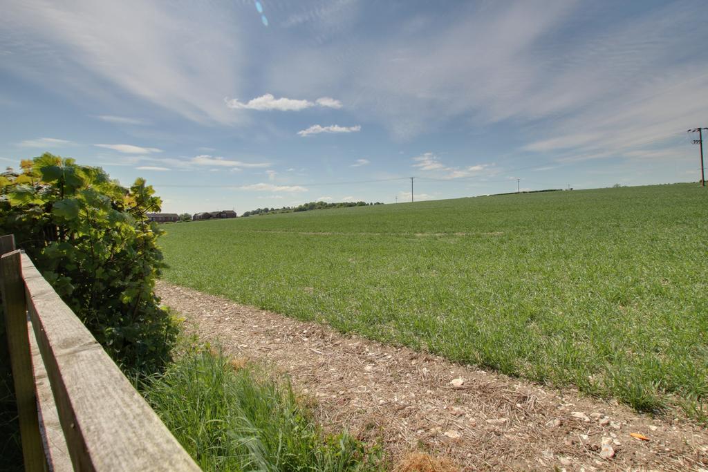 Field view