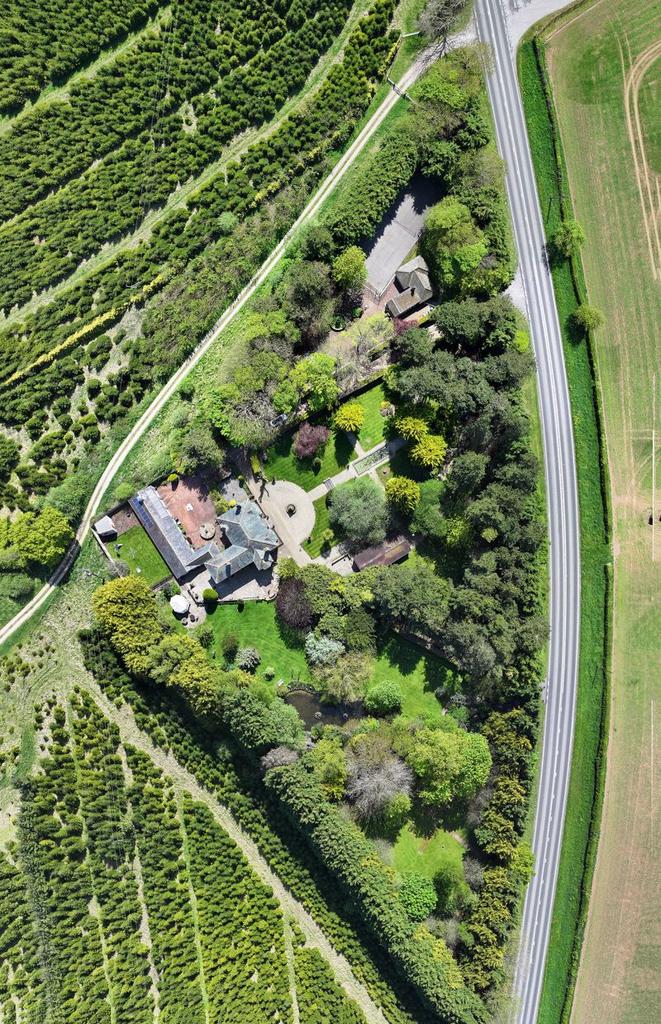 Aerial