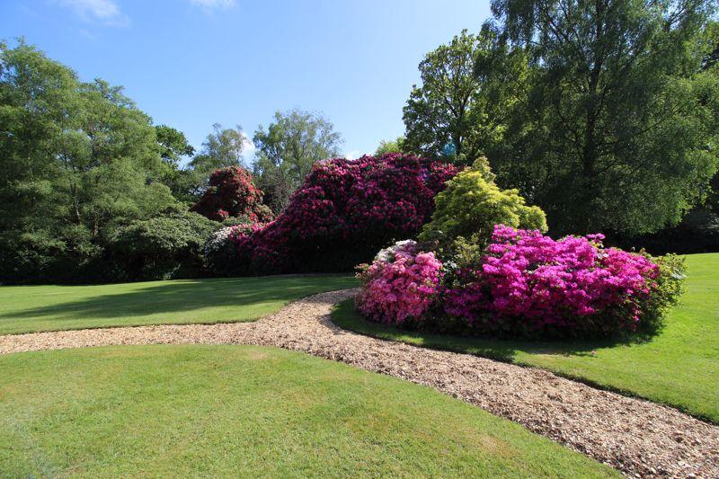 Grounds