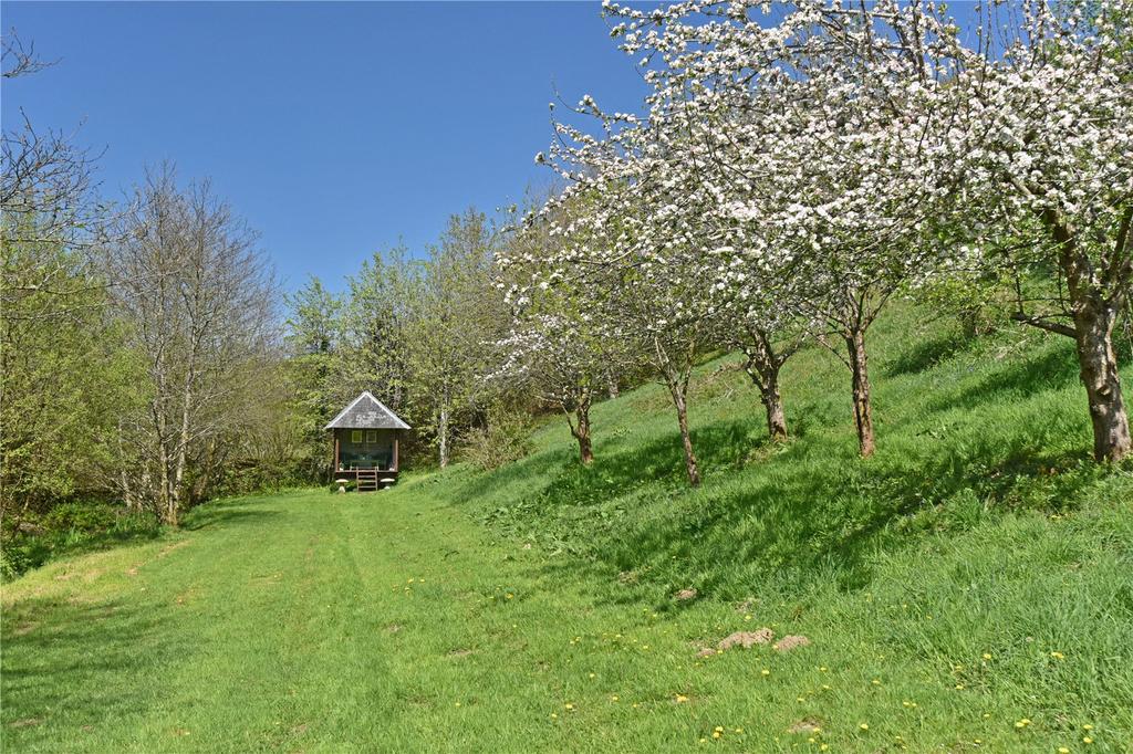 Picture 21