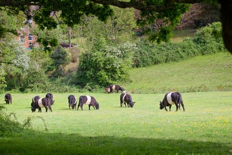 undefined, Redlynch, Wiltshire SP5