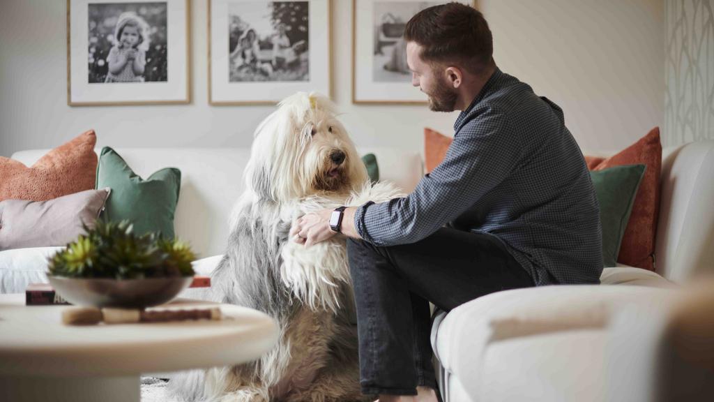 Harper Crewe - On The Market -