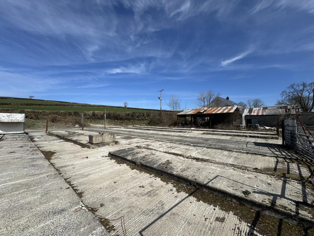 The Farmyard