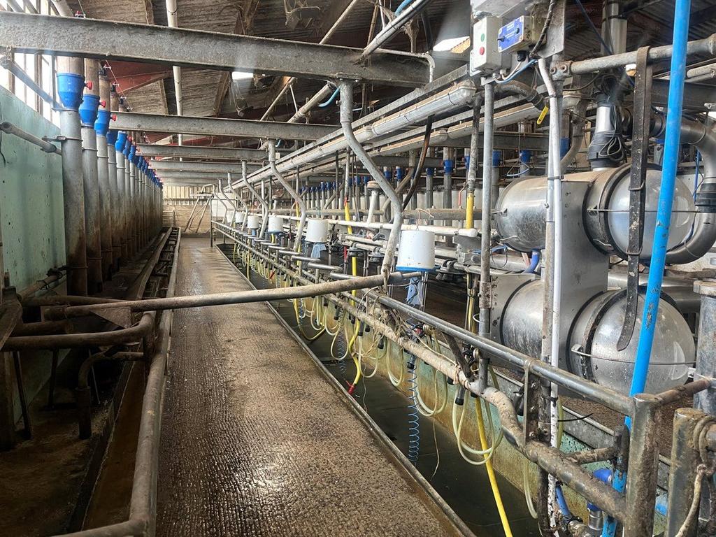 Milking Parlour