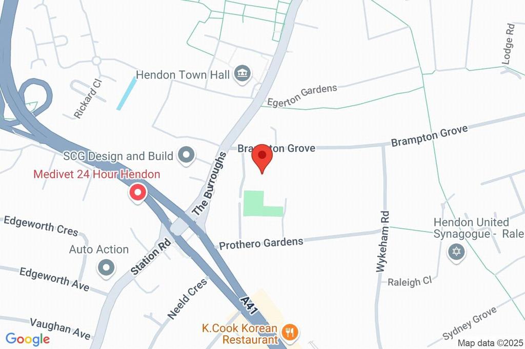 Google Maps Image