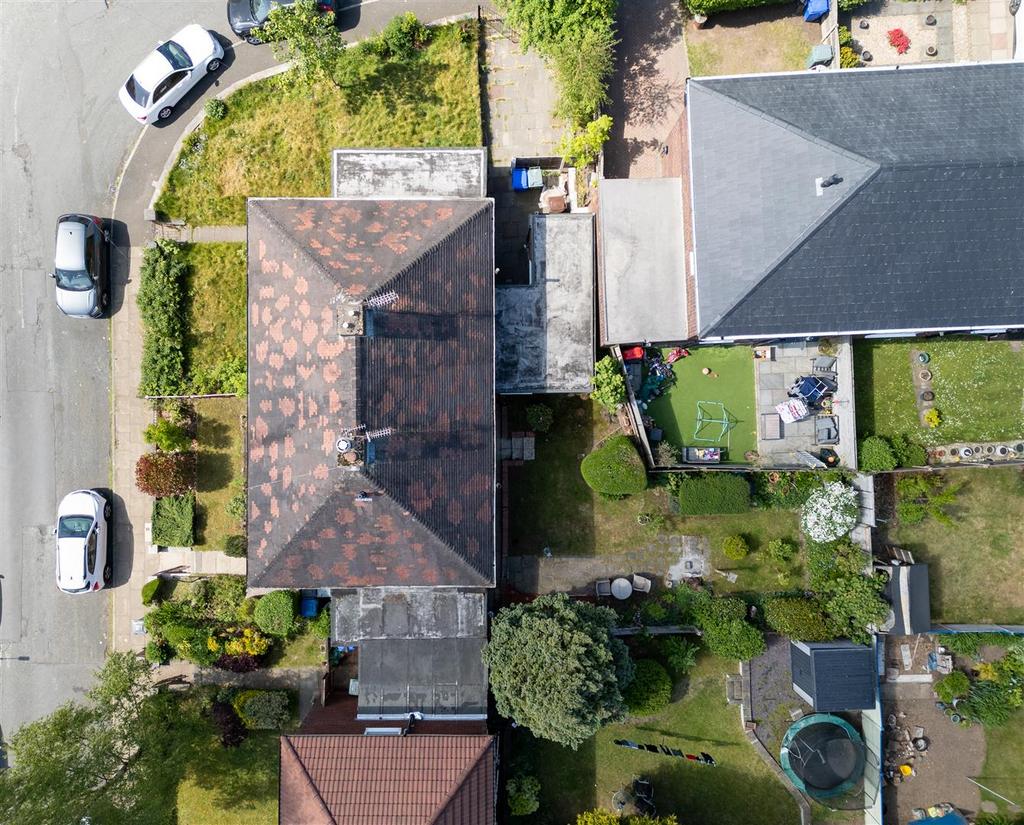 DJI 0006.jpg