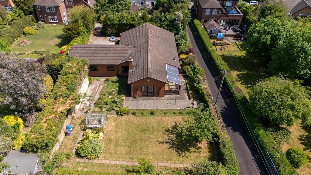 DJI 20250515124525 0306 D.jpg