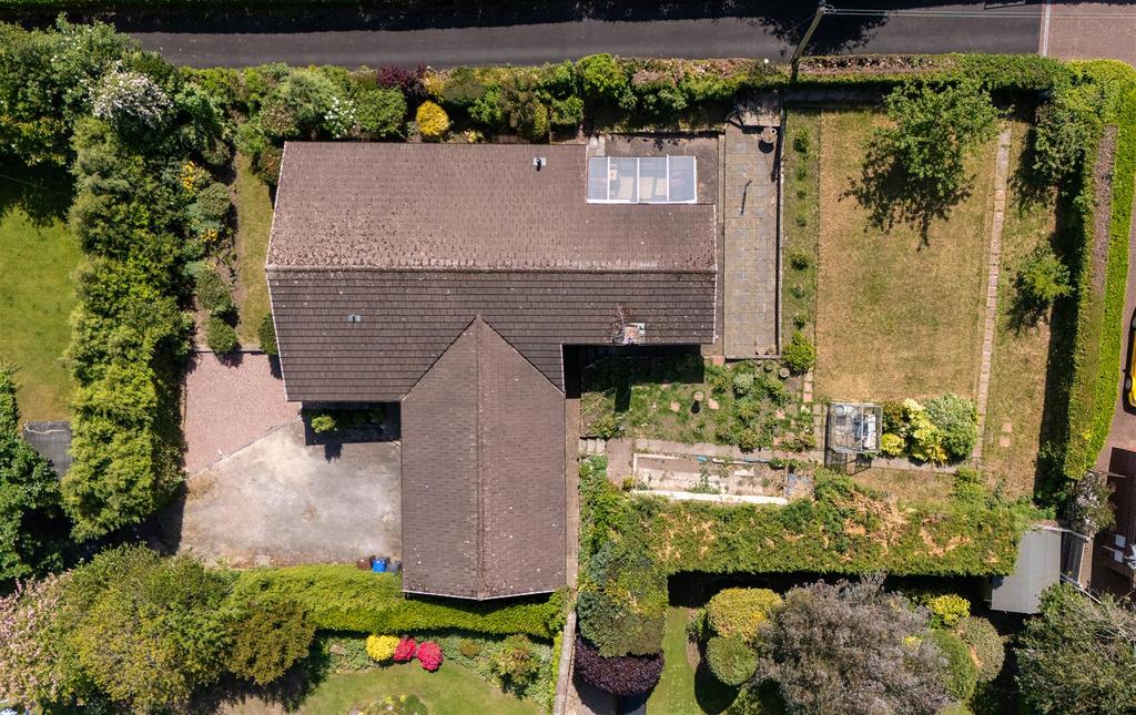 DJI 20250515124437 0303 D.jpg